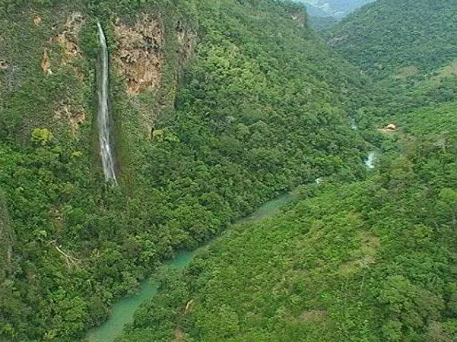 MS é o 8º estado com maiores índices de desmatamento da Mata Atlântica