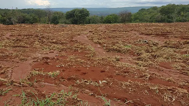 Mulher é autuada em R$ 50 mil por usar área ambiental protegida
