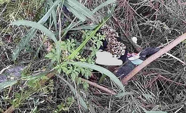 Homem é encontrado morto às margens da BR-163