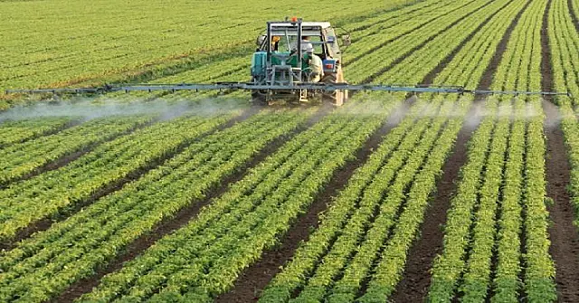 Plano para Difusão do Manejo Integrado de Pragas de MS será lançado nesta quarta-feira