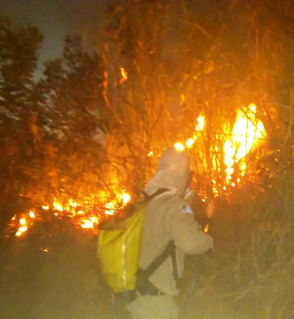 Anastácio está em situação de emergência devido às queimadas no Pantanal