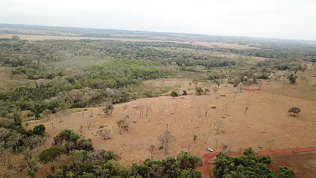 Com uso de satélite e drone, PMA de Jardim descobre desmatamento