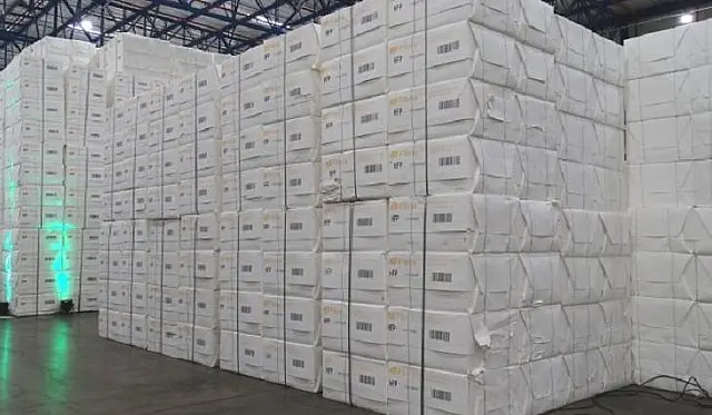 Mato Grosso do Sul vê setor florestal impulsionar economia verde no Estado