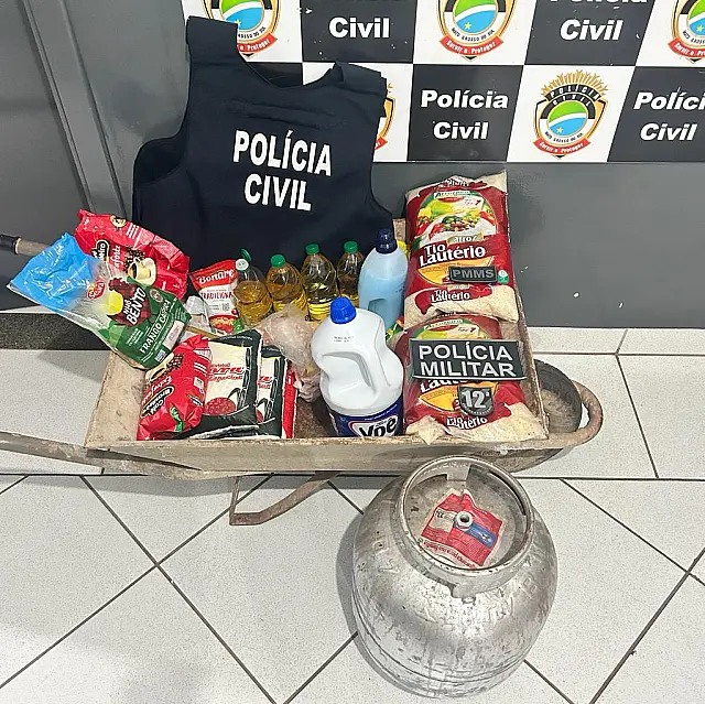 Ação conjunta Polícias Civil e Militar prendem autor de furto, em Camapuã