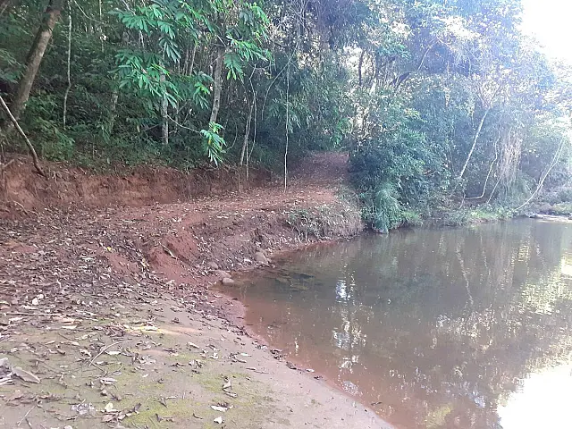 PMA de Aquidauana autua fazendeiro desmatar matas ciliares de córrego para construção de estrada