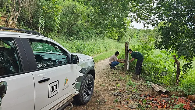 IHP denuncia sumiço de equipamentos usados para afugentar onças em Corumbá