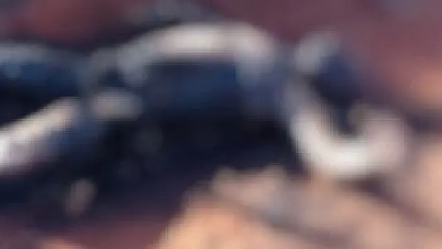Tatuagem deve ajudar a identificar corpo carbonizado em Três Lagoas