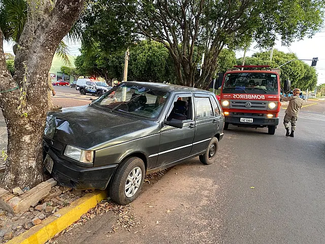 Motorista perde controle do veículo e colide com árvore em Anastácio