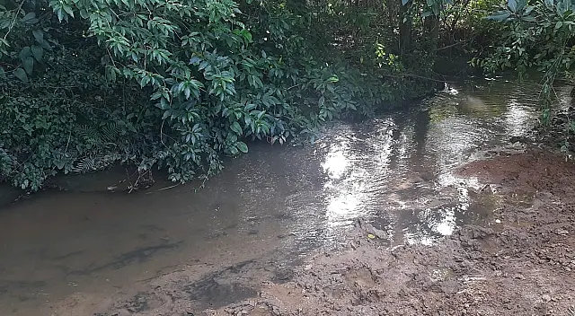 Pecuarista é multado em R$ 5 mil por degradação de mata ciliar em Bonito