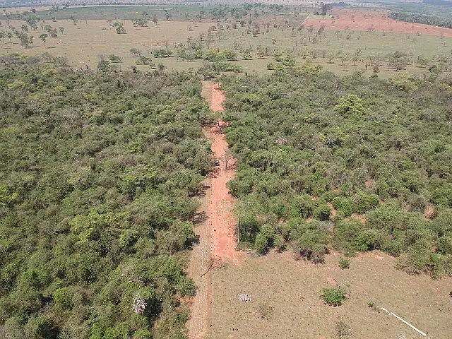 Polícia Militar Ambiental autua infrator em R$ 7 mil por desmatamento ilegal