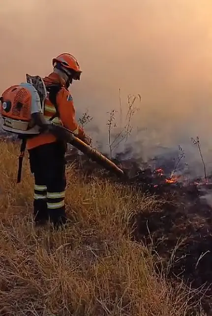Área queimada no Paraguai Mirim chega a 3.311 hectares