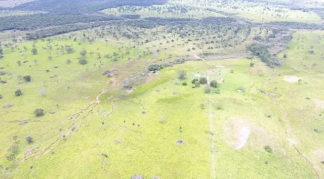 PMA autua 48 pessoas e aplica R$ 1,05 milhão por desmatamentos ilegais de 1.411 hectares de vegetação