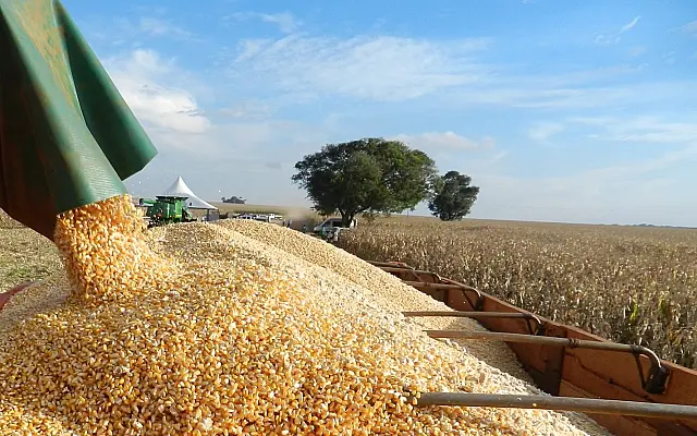 Encerrada colheita do milho segunda safra em Mato Grosso do Sul