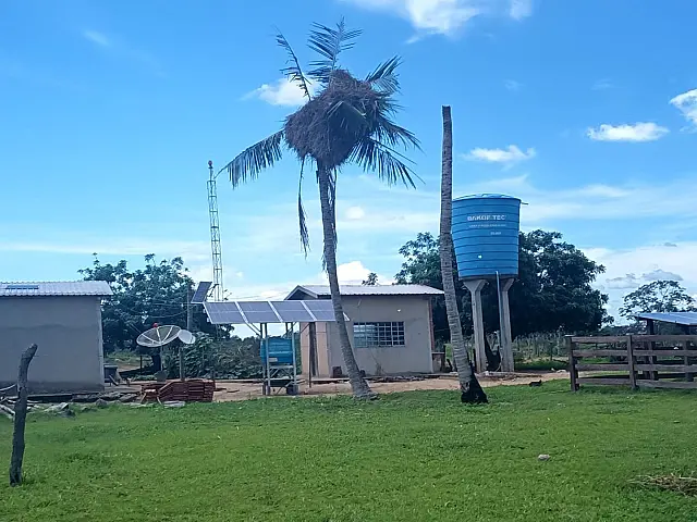 Queda de ninho mobiliza resgate de periquitos no Pantanal