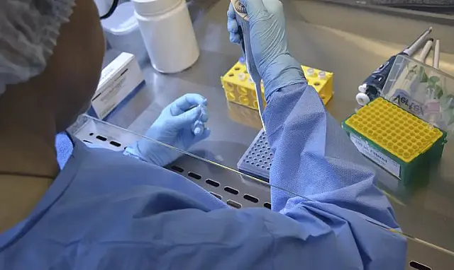 Anvisa autoriza ensaio clínico para vacina da gripe aviária