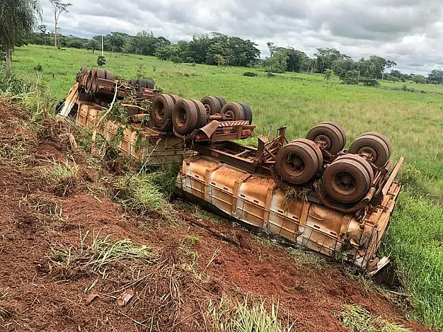 Abelha entra em cabine, motorista perde o controle e tomba carreta