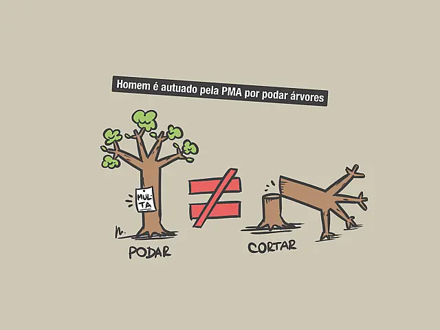 Diferenças