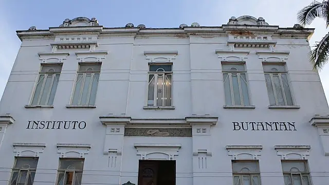Butanvac: Instituto Butantan anuncia vacina brasileira contra coronavírus