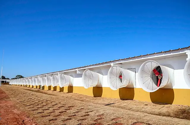 Granja em Rio Negro reforça cadeia produtiva e aposta no sustentável