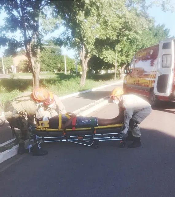 Cachorro invade avenida e derruba homem de bicicleta elétrica