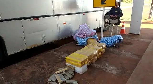 Em ônibus de viagem particular, 11 são presos por tráfico de drogas