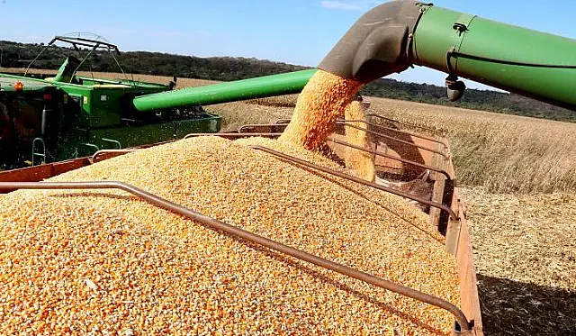Safra 2021/2022: Mapa publica zoneamento agrícola da soja para Mato Grosso do Sul