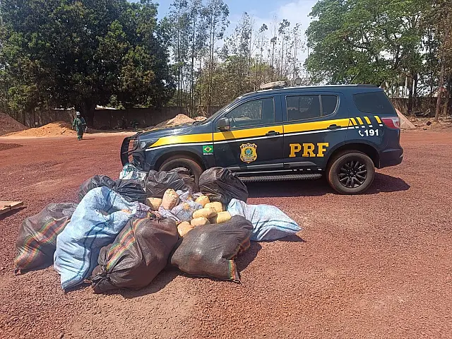 PRF localiza 363kg de skunk ocultos em carga de minério em Anastácio