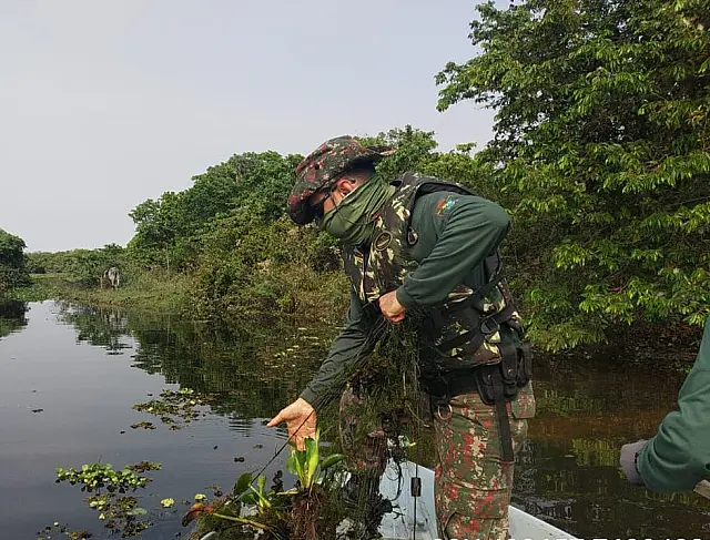 Em um mês, operação Hot Points apreende 555 kg de pescado em MS