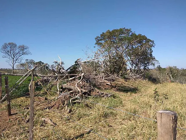 Fazendeiro é multado em R$ 183,7 mil por desmatamento ilegal de 74 hectares