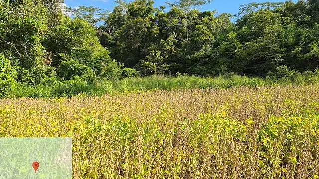 Escurecimento do Rio do Peixe gera multa de R$ 120 mil à fazendeira