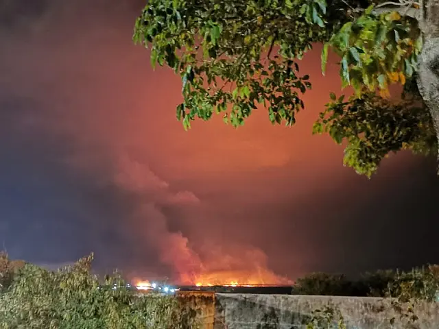 PF investiga manejo de gado irregular em área devastada no Pantanal