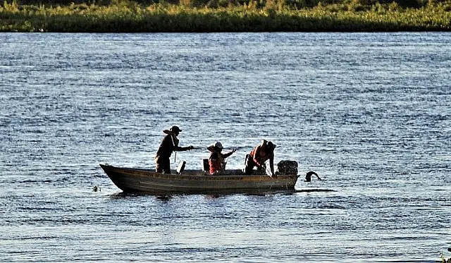 Pesca do Dourado segue proibida