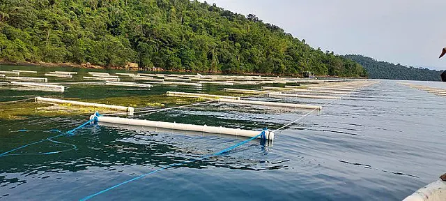 Novas regras facilitam prática da aquicultura em águas da União
