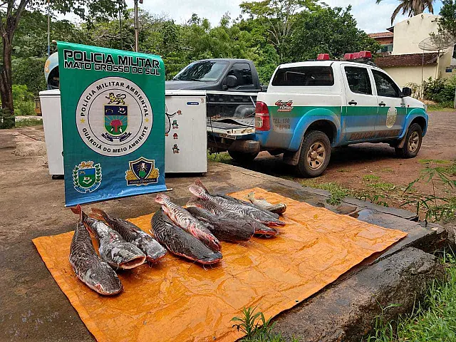 PMA desarticula comércio ilegal de pescado em Aquidauana