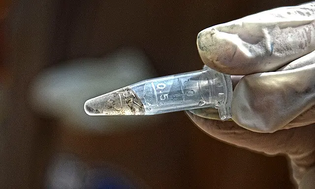 Corumbá confirma 104 casos de dengue