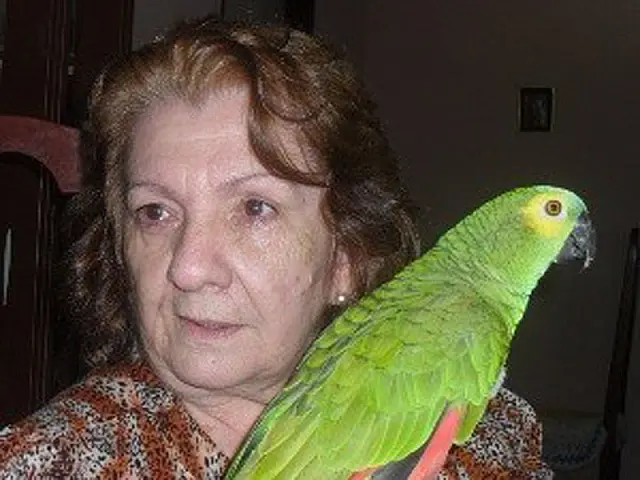 Idosa briga na Justiça para ficar com papagaio que foi do filho assassinado