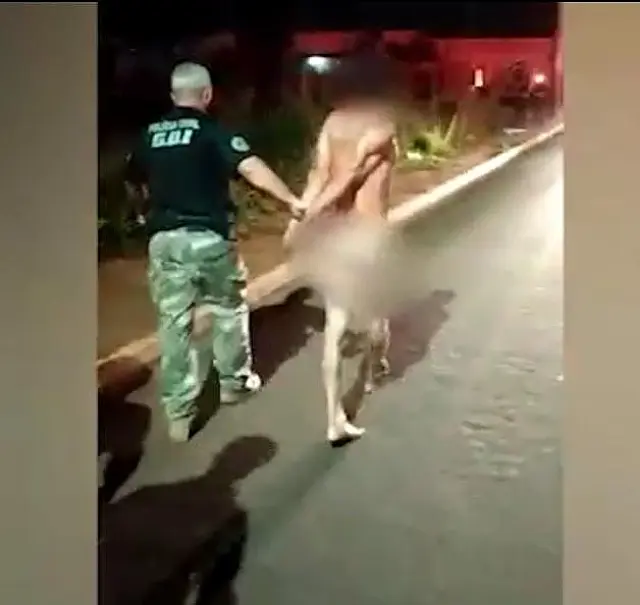 Homem é preso enquanto corria pelado na Avenida Guaicurus