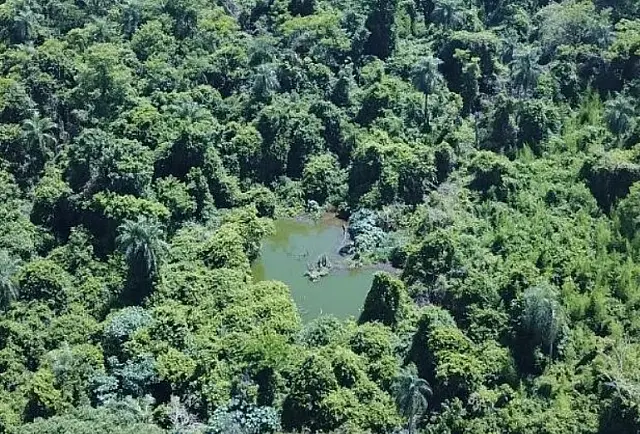 PMA autua fecularia em R$ 25 mil
