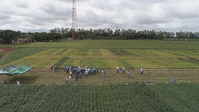 Dez municípios com maior PIB do agronegócio contam com Unidade de Pesquisa da Fundação MS