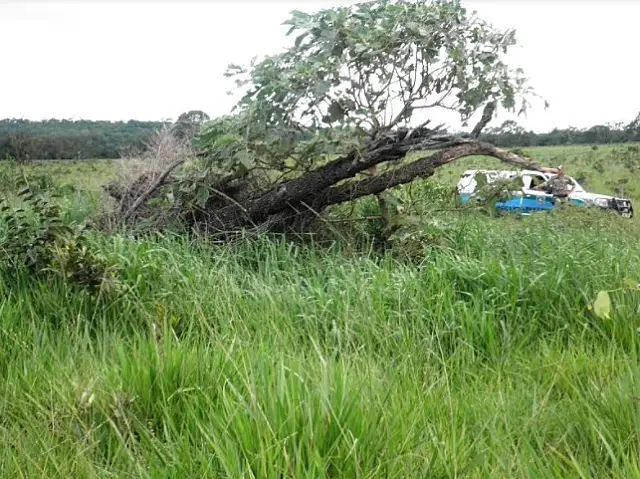 Pecuarista é multado em R$ 38 mil por desmatamento em fazenda