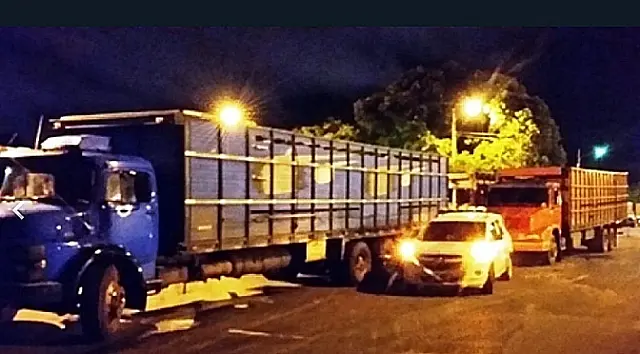 Fiscais da Sefaz apreendem caminhão com gado irregular e recuperam R$ 23 mil ao tesouro estadual