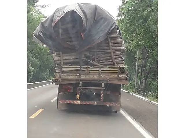 Caminhão transita pela BR-262 e chama atenção com carga 'pendurada'