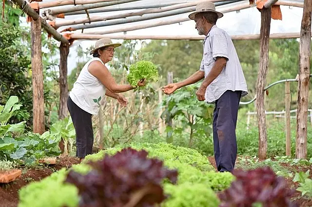 Senar/MS abre inscrições para o Inova Agro
