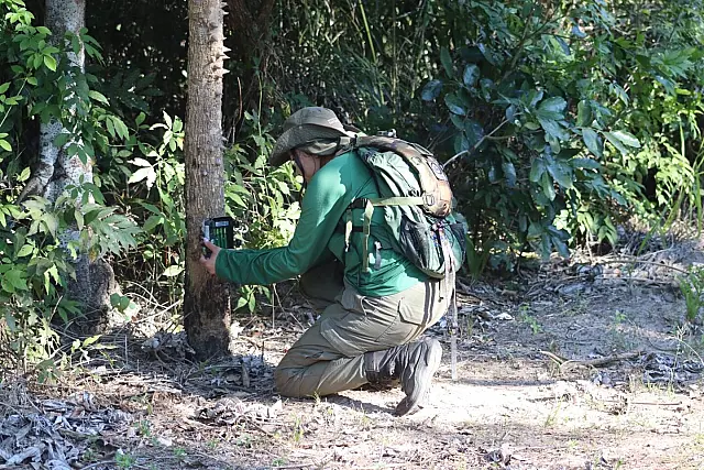 Projeto vai mapear onças-pintadas e medir convivência com comunidades no Pantanal