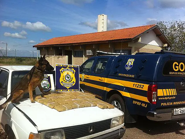 Cães farejadores ajudam PRF na apreensão de 27 quilos de cocaína