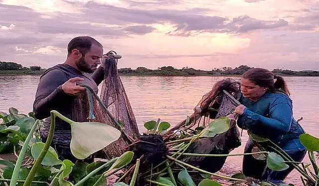 Pesquisadores catalogam 104 novas espécies de peixes do Pantanal