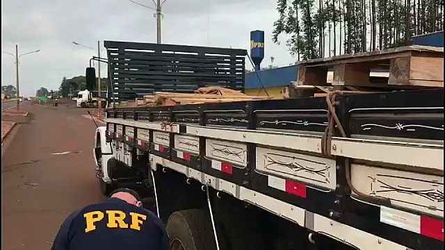 Polícia apreende 1,3 tonelada de maconha escondida sob pallets