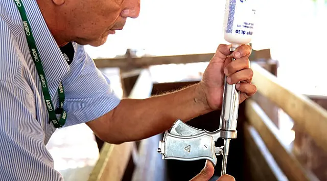 Iagro define calendário de vacinação contra febre aftosa em Mato Grosso do Sul