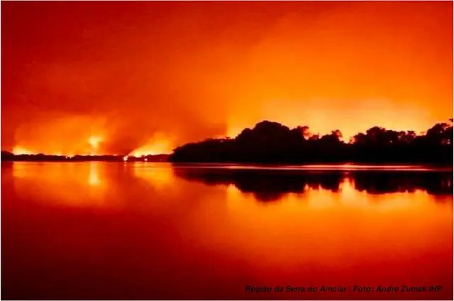 Pantanal sofre com queimadas que podem superar a destruição de 2020