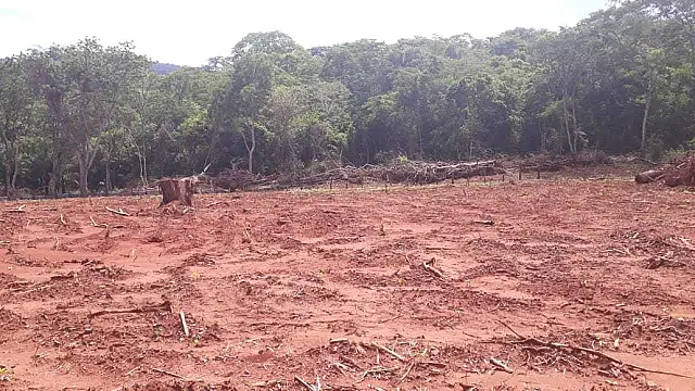 PMA autua fazendeiro por desmatamento ilegal na Estrada Parque